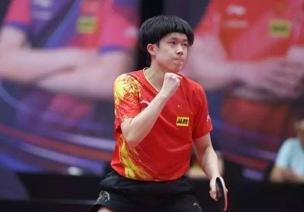 适应性和进 适应性和进