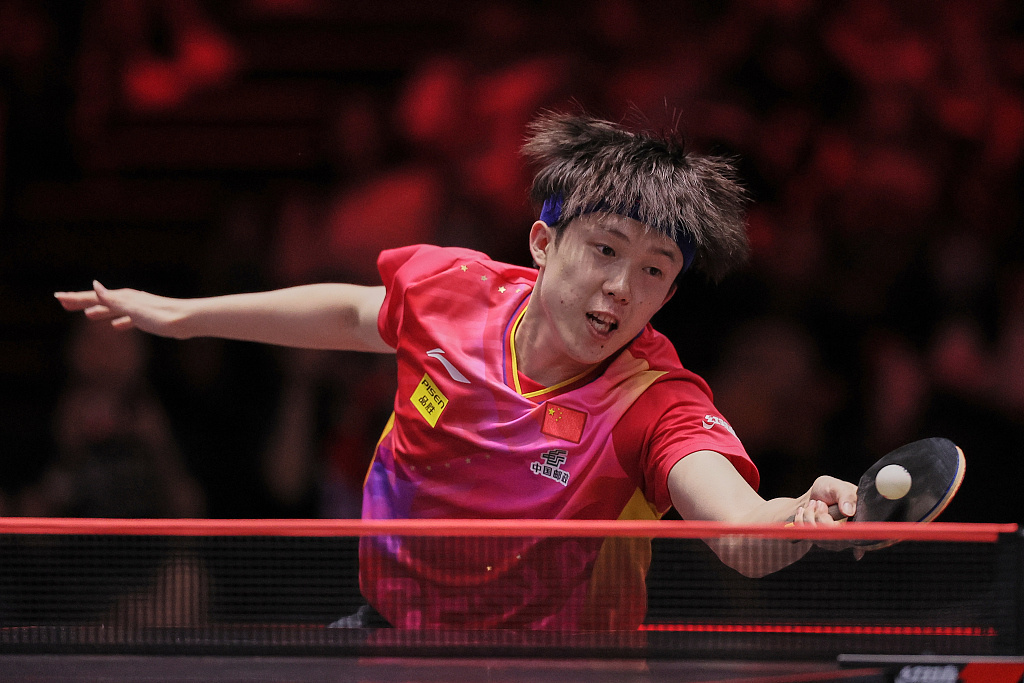 款的设置 款的设置