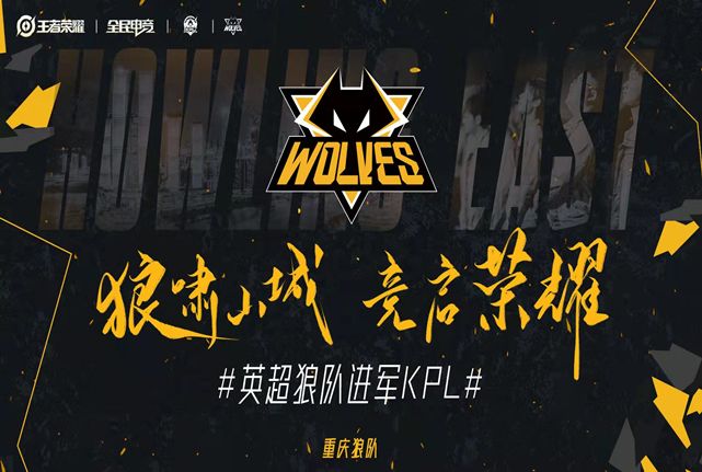 方案
